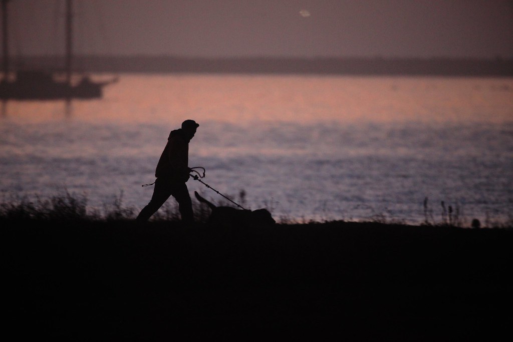 Silhouette of a man walking at dawn by the water